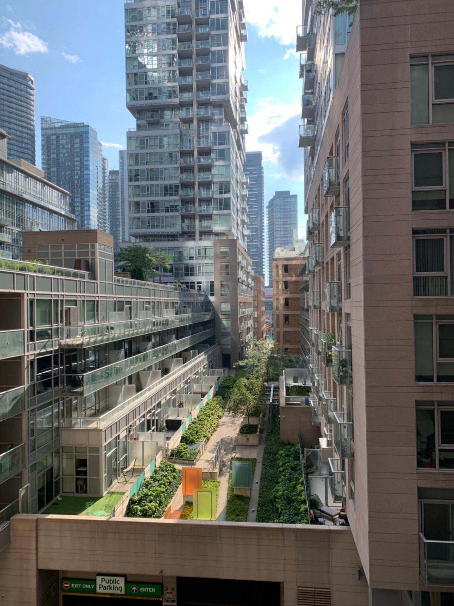 Boutique Suite Of Downtown โตรอนโต ภายนอก รูปภาพ